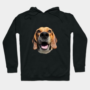 Beagle Dog Art Hoodie